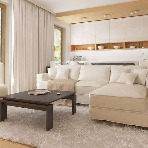 готовый проект дома Z38 D L GP – дизайн интерьера, Зеркальное отображение проекта Z38 с гаражом с правой стороны.